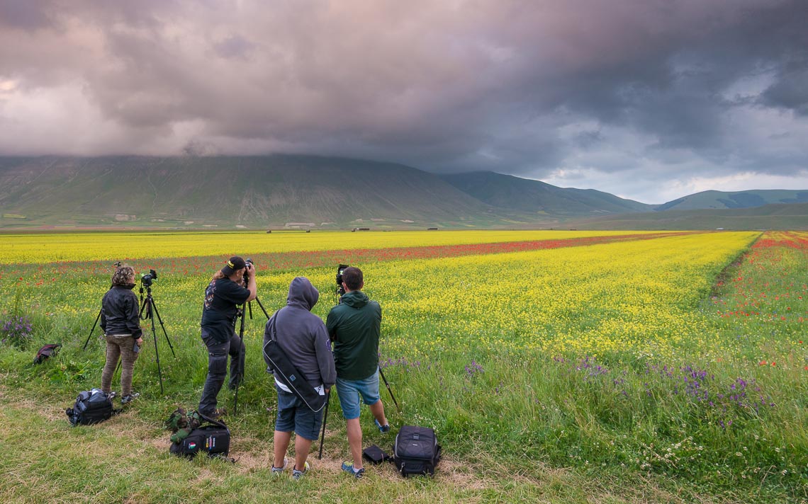 Castelluccio Fioritura Nikon School Workshop Paesaggio Notturna Via Lattea Startrail 00014