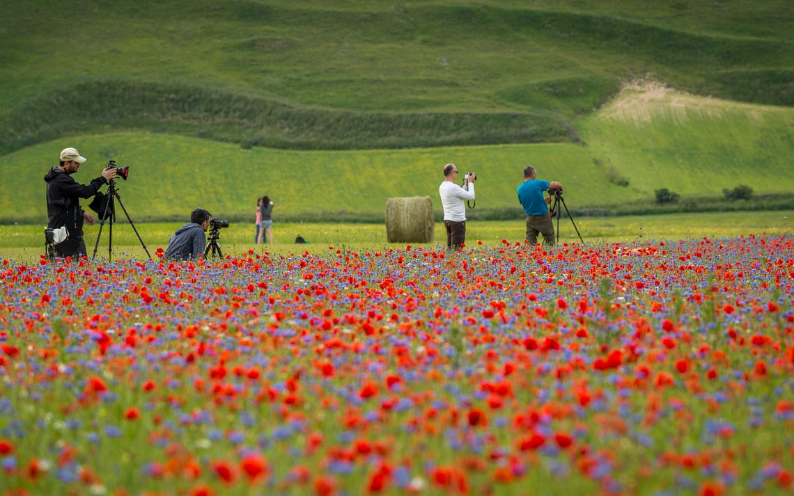 Castelluccio Fioritura Nikon School Workshop Paesaggio Notturna Via Lattea Startrail 00025