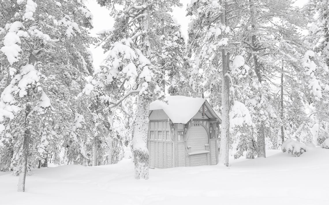 Lapponia Finlandia Svezia Nikon School Viaggio Fotografico Workshop Aurora Boreale Paesaggio Viaggi Fotografici 00046