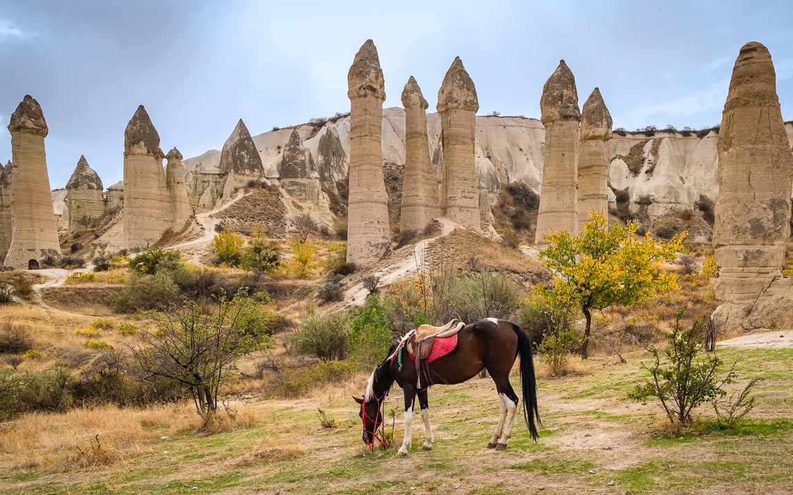 Horses With Famous Rock Formations At Background In Love Valley,