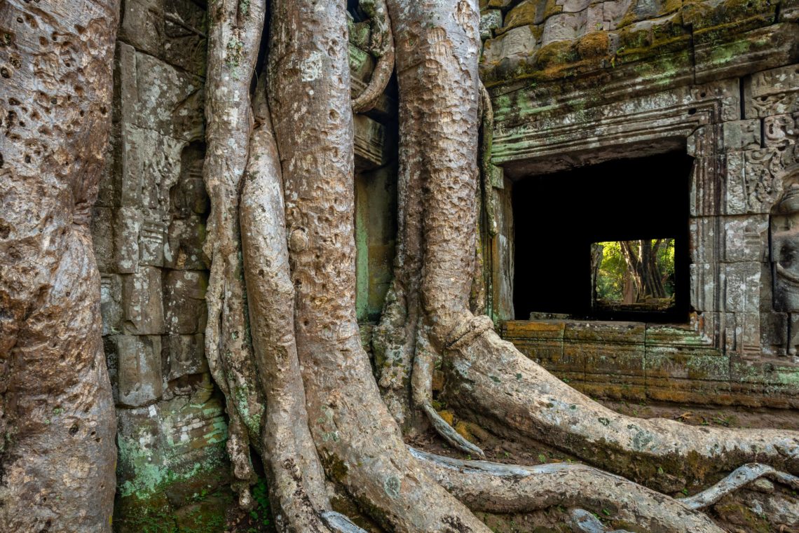 Cambogia Nikon School Viaggio Fotografico Workshop Paesaggio Viaggi Fotografici Reportage Travel00016