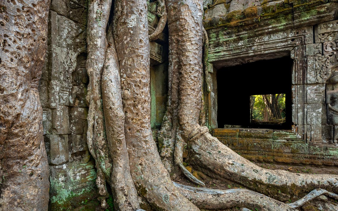 Cambogia Nikon School Viaggio Fotografico Workshop Paesaggio Viaggi Fotografici Reportage Travel00016