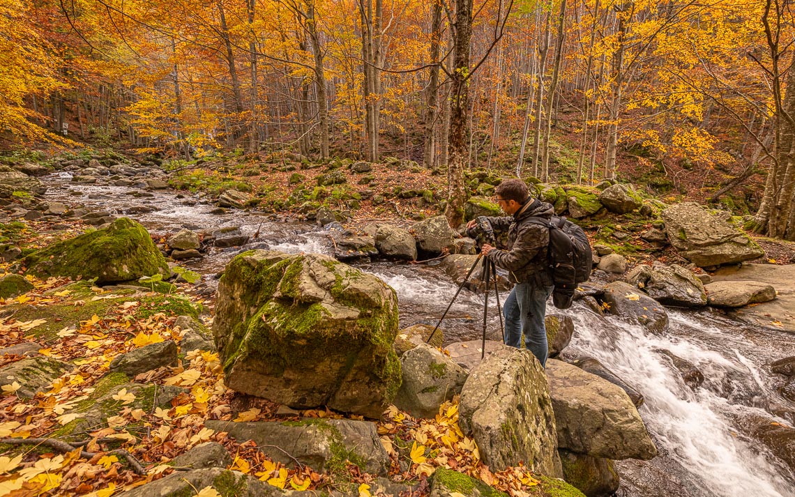 Foliage Autunno Nikon School Workshop Paesaggio Appennino 00029