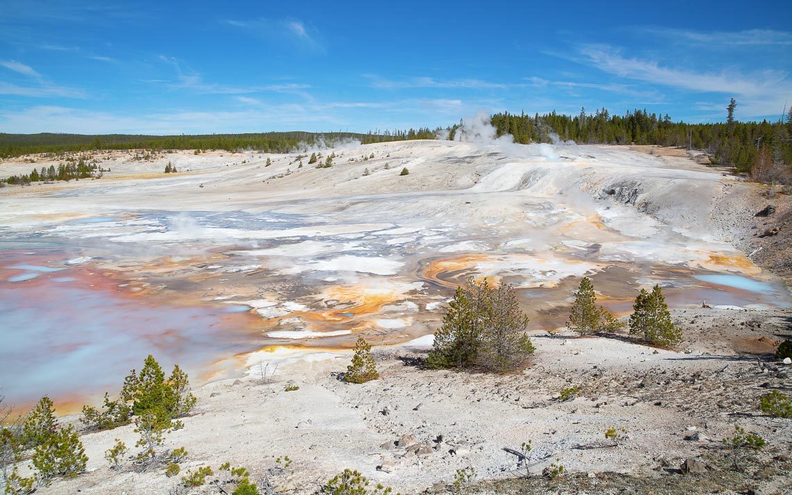 Norris Geyser Basin In The Yellowstone National Park, Usa