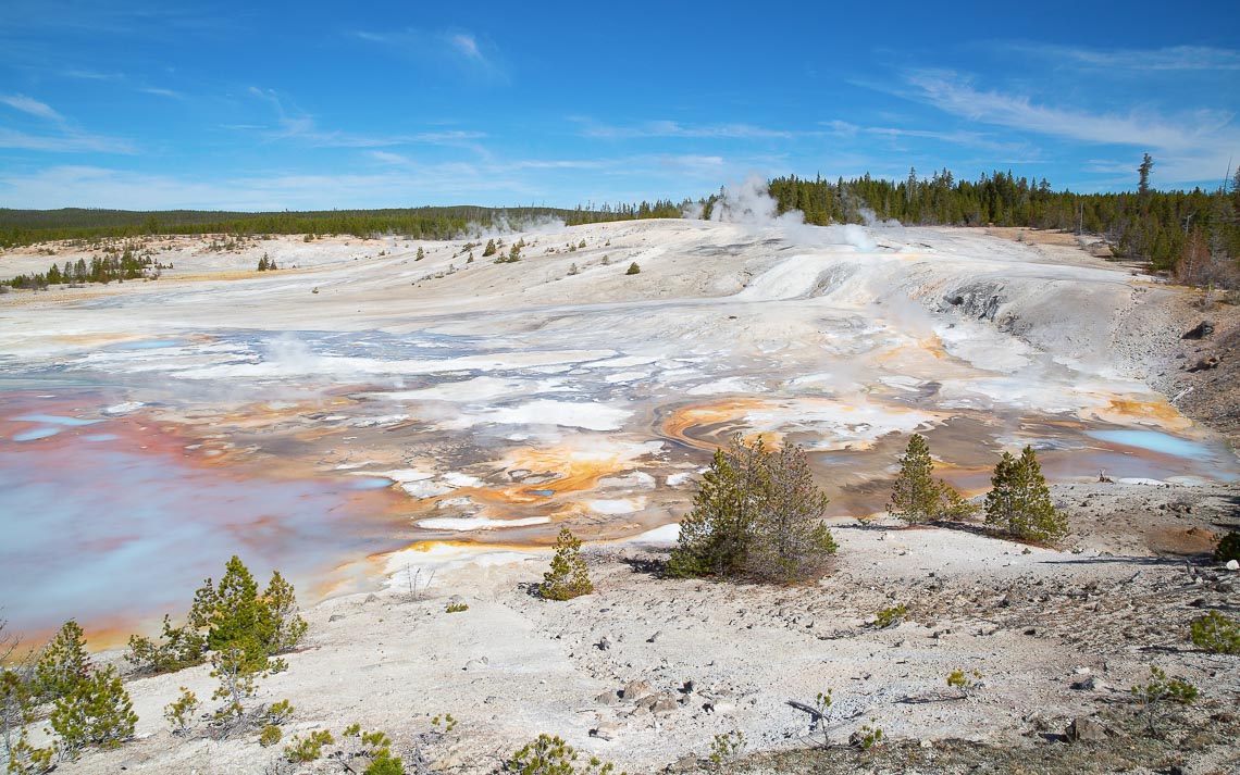 Norris Geyser Basin In The Yellowstone National Park, Usa - FotoCorsi