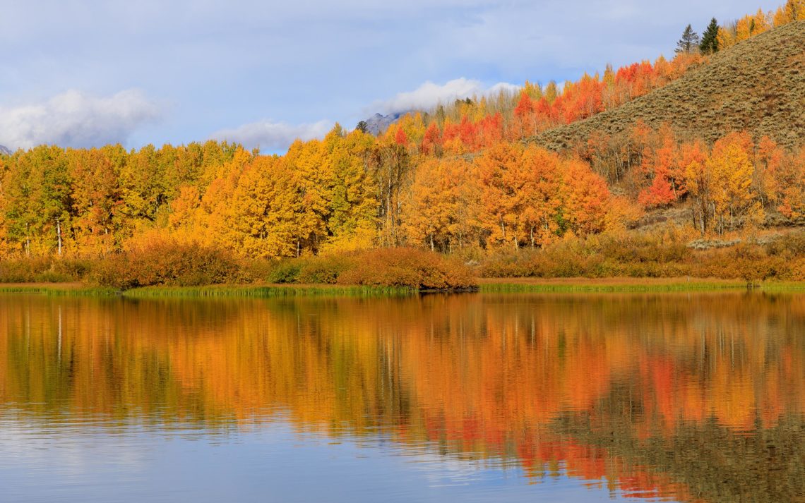 The Scenic Landscape Of Grand Teton National Park In Autumn