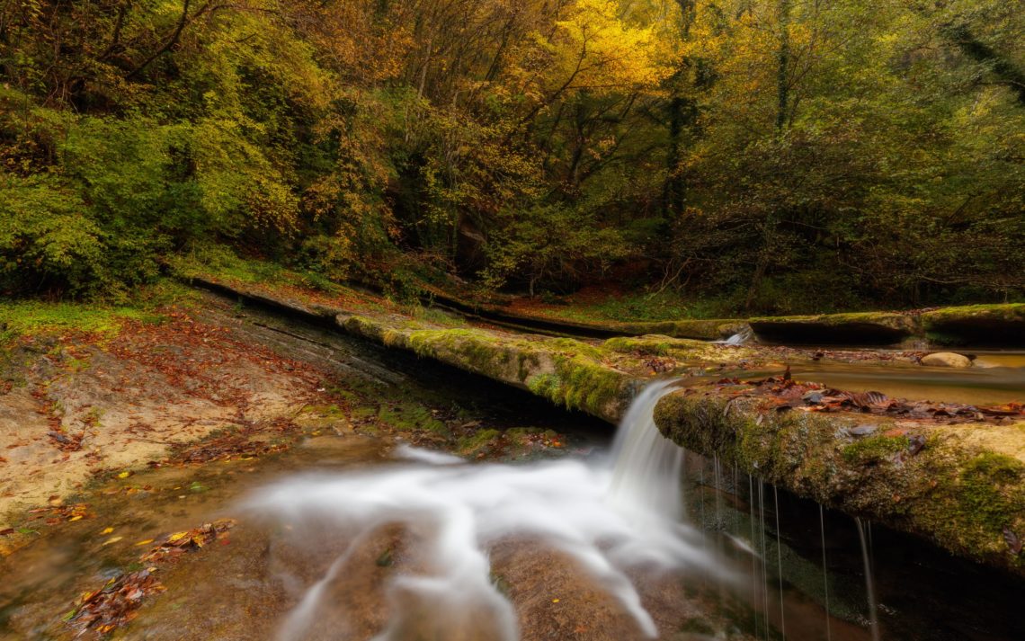 Foliage Autunno Nikon School Workshop Paesaggio Appennino 00002