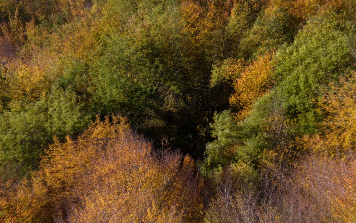 Foliage Autunno Nikon School Workshop Paesaggio Appennino 00004