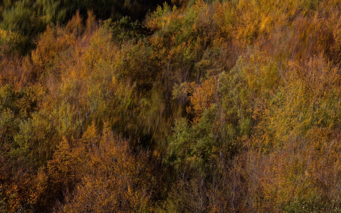 Foliage Autunno Nikon School Workshop Paesaggio Appennino 00005