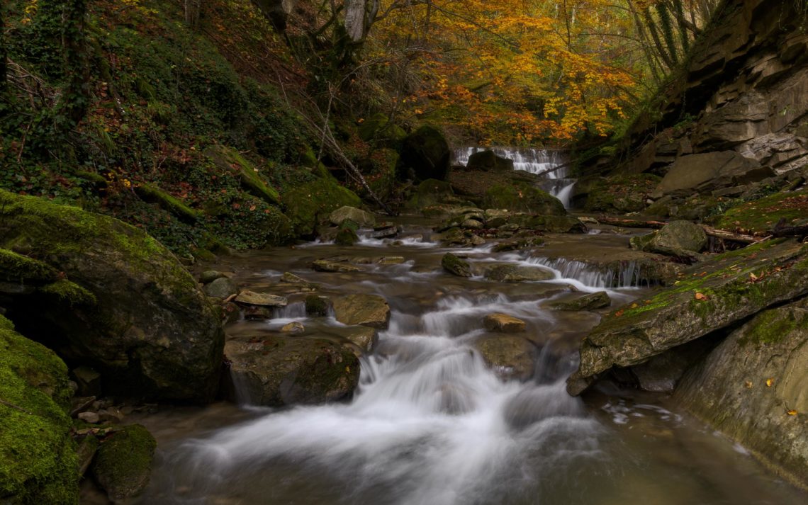 Foliage Autunno Nikon School Workshop Paesaggio Appennino 00010