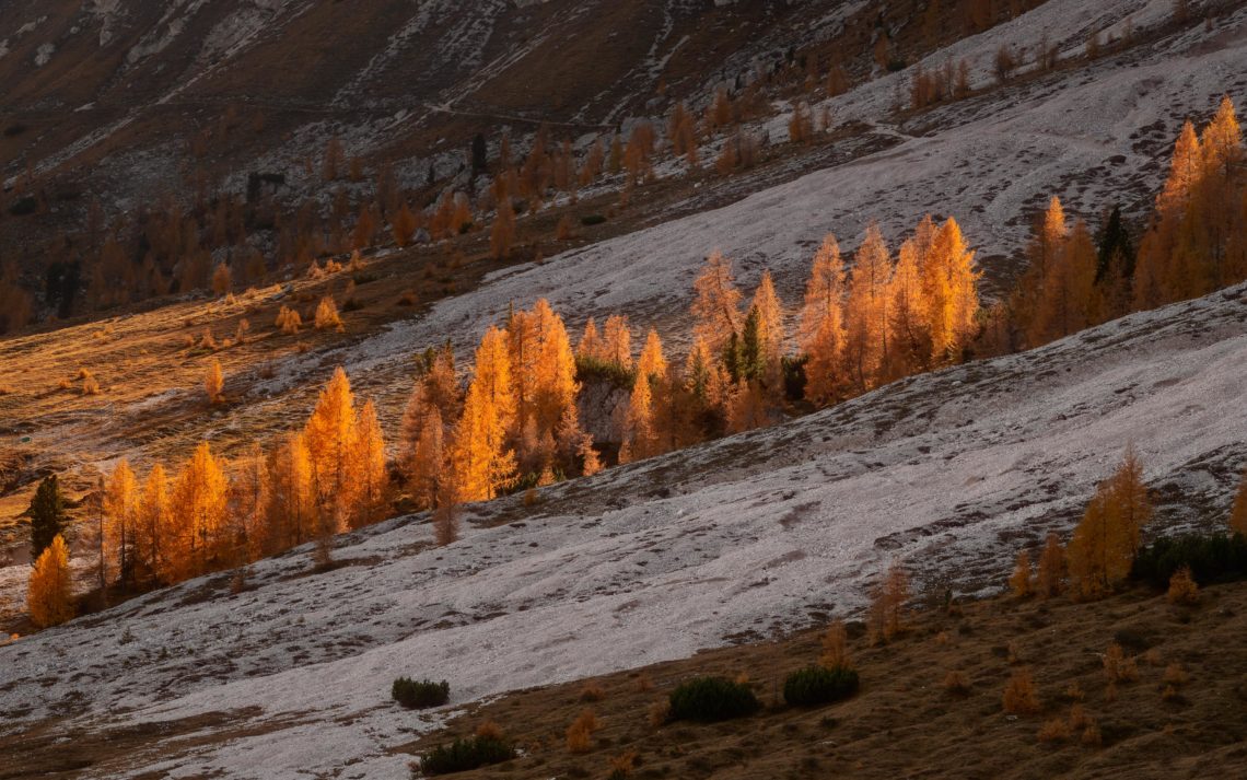 Dolomiti Foliage Autunno Nikon School Workshop Paesaggio Notturna Via Lattea Startrail 00001