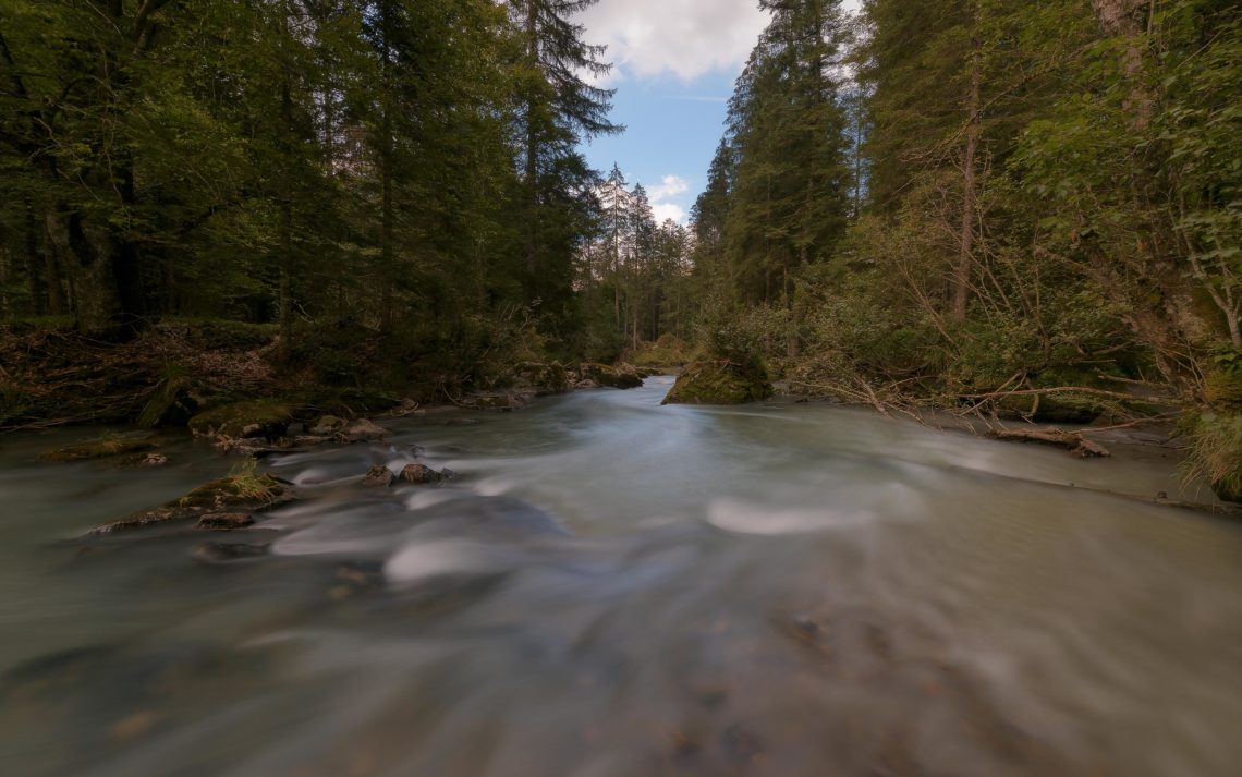 Dolomiti Foliage Autunno Nikon School Workshop Paesaggio Notturna Via Lattea Startrail 00004