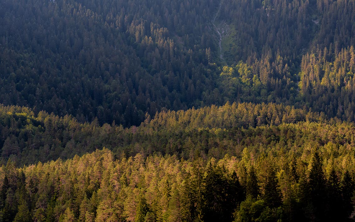 Dolomiti Foliage Autunno Nikon School Workshop Paesaggio Notturna Via Lattea Startrail 00021