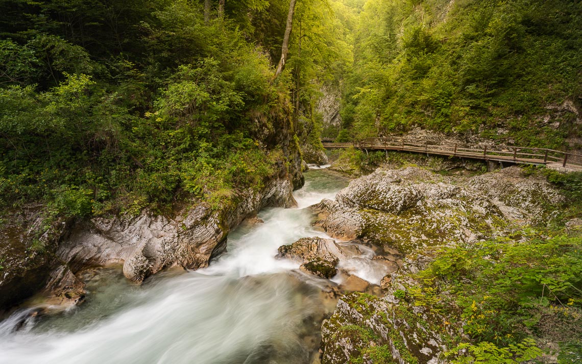 Slovenia Bled Foliage Autunno Viaggio Fotografico Nikon School Workshop Paesaggio Viaggi Fotografici 00040