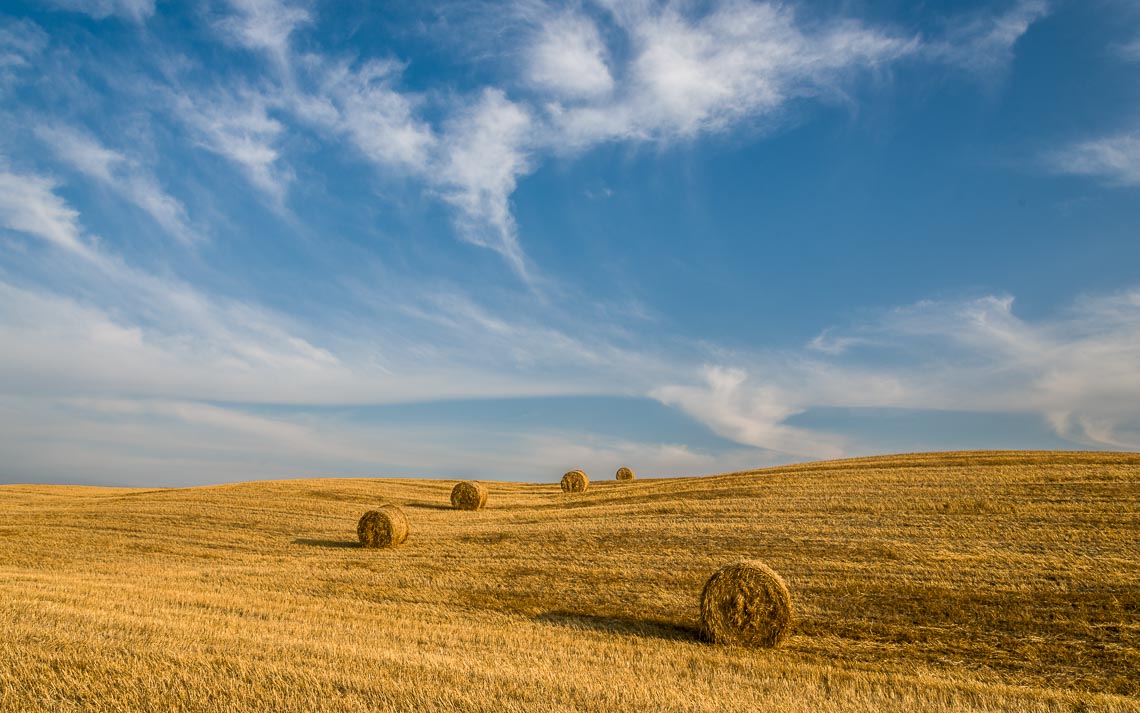 Val Orcia Toscana Nikon School Workshop Paesaggio Notturna Via Lattea Startrail 00007