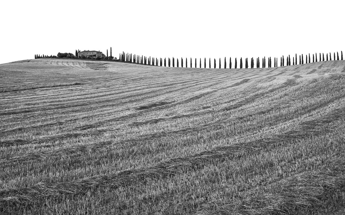 Val Orcia Toscana Nikon School Workshop Paesaggio Notturna Via Lattea Startrail 00008