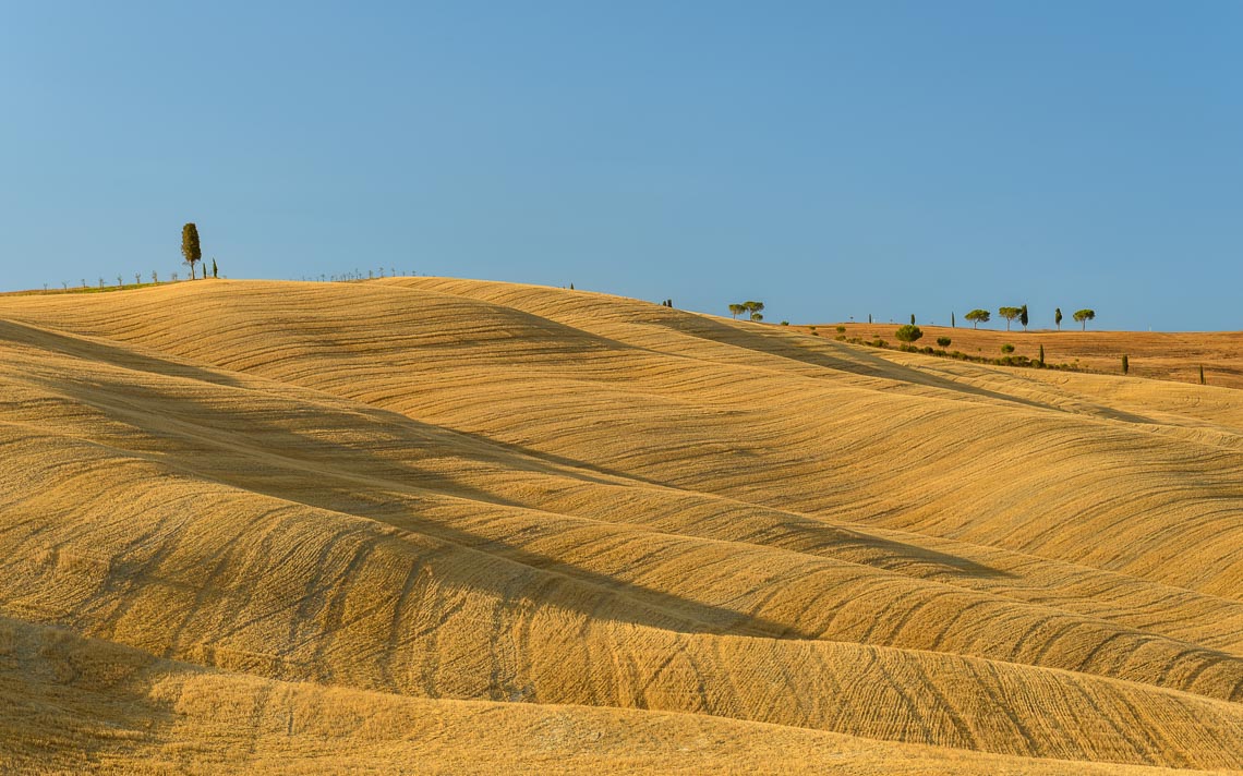 Val Orcia Toscana Nikon School Workshop Paesaggio Notturna Via Lattea Startrail 00013