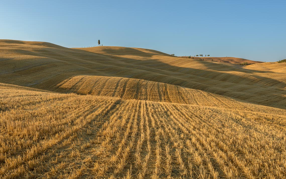 Val Orcia Toscana Nikon School Workshop Paesaggio Notturna Via Lattea Startrail 00015