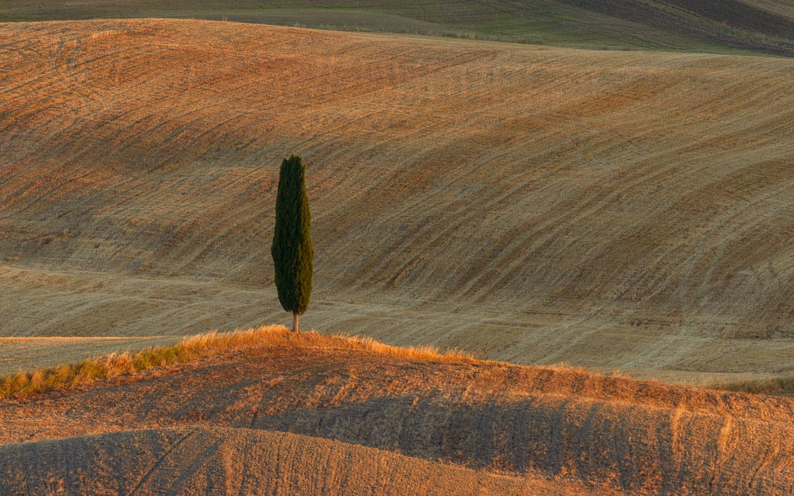 Val Orcia Toscana Nikon School Workshop Paesaggio Notturna Via Lattea Startrail 00027