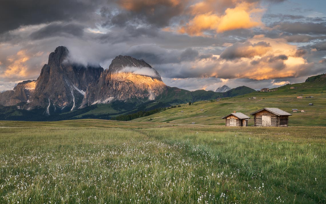 Dolomiti Nikon School Workshop Paesaggio Alpe Siusi Seceda 00023