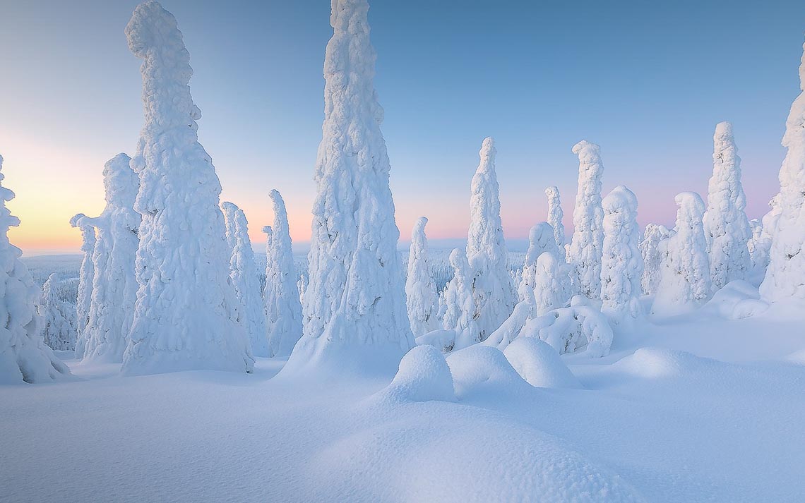 Lapponia Finlandia Svezia Nikon School Viaggio Fotografico Workshop Aurora Boreale Paesaggio Viaggi Fotografici 00067