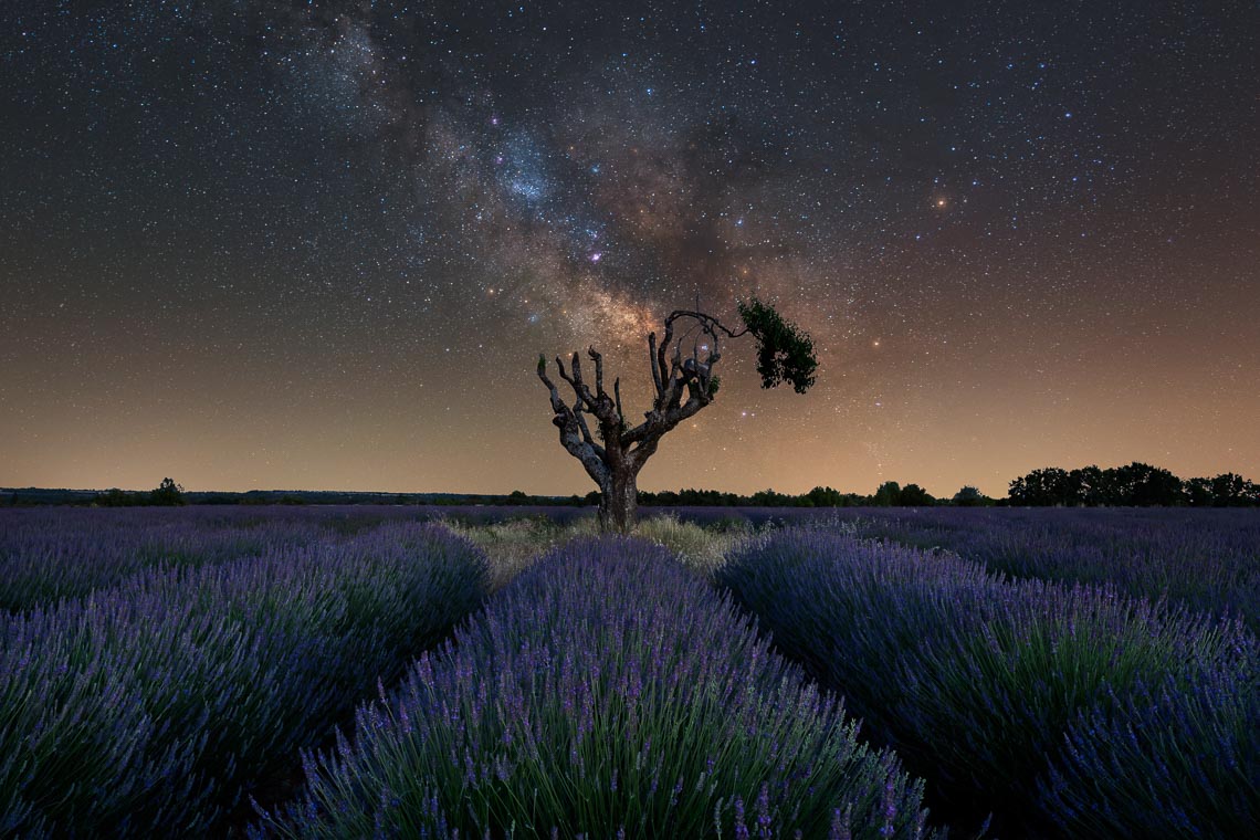 Provenza Nikon School Viaggio Fotografico Workshop Paesaggio Viaggi Fotografici Via Lattea Startrail Notturna 00027