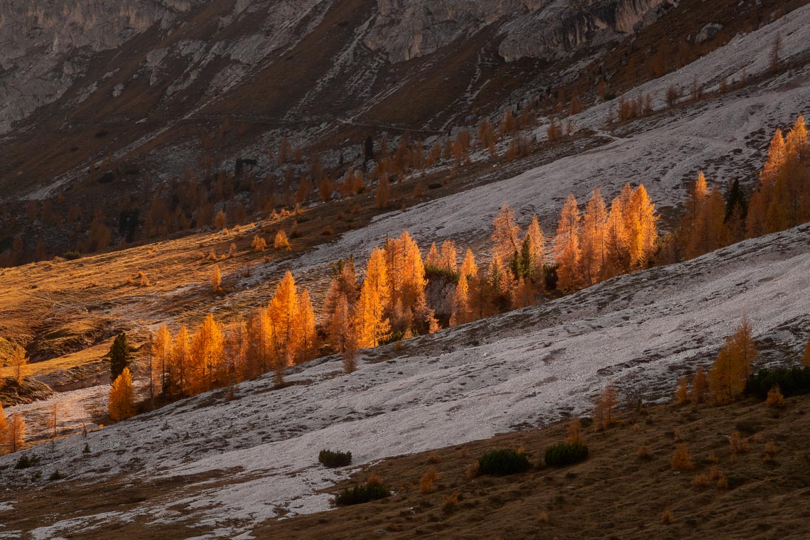 Dolomiti Foliage Autunno Nikon School Workshop Paesaggio Notturna Via Lattea Startrail 00001