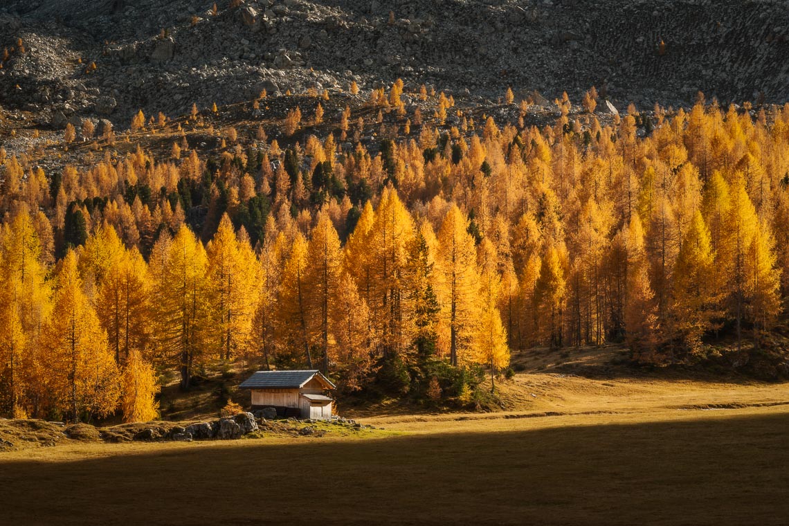 Dolomiti Foliage Autunno Nikon School Workshop Paesaggio Notturna Via Lattea Startrail 00002