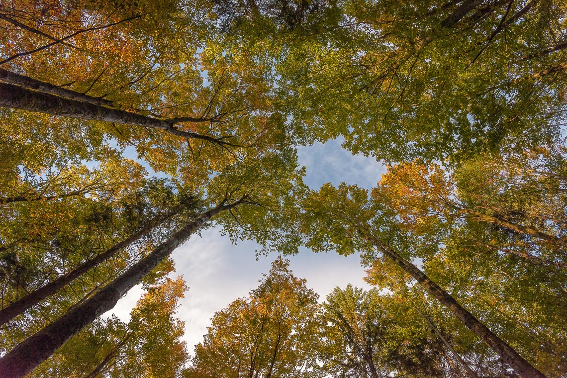 Baviera Bayerischer Foliage Autunno Viaggio Fotografico Nikon School Workshop Paesaggio Viaggi Fotografici 00024