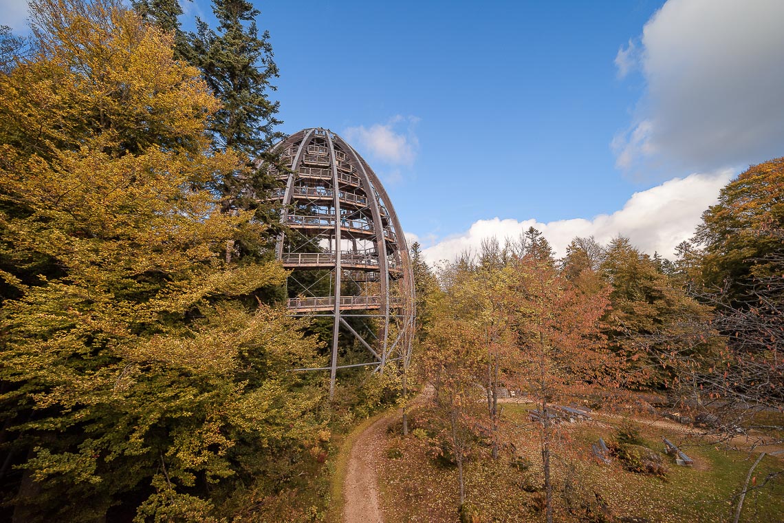 Baviera Bayerischer Foliage Autunno Viaggio Fotografico Nikon School Workshop Paesaggio Viaggi Fotografici 00028