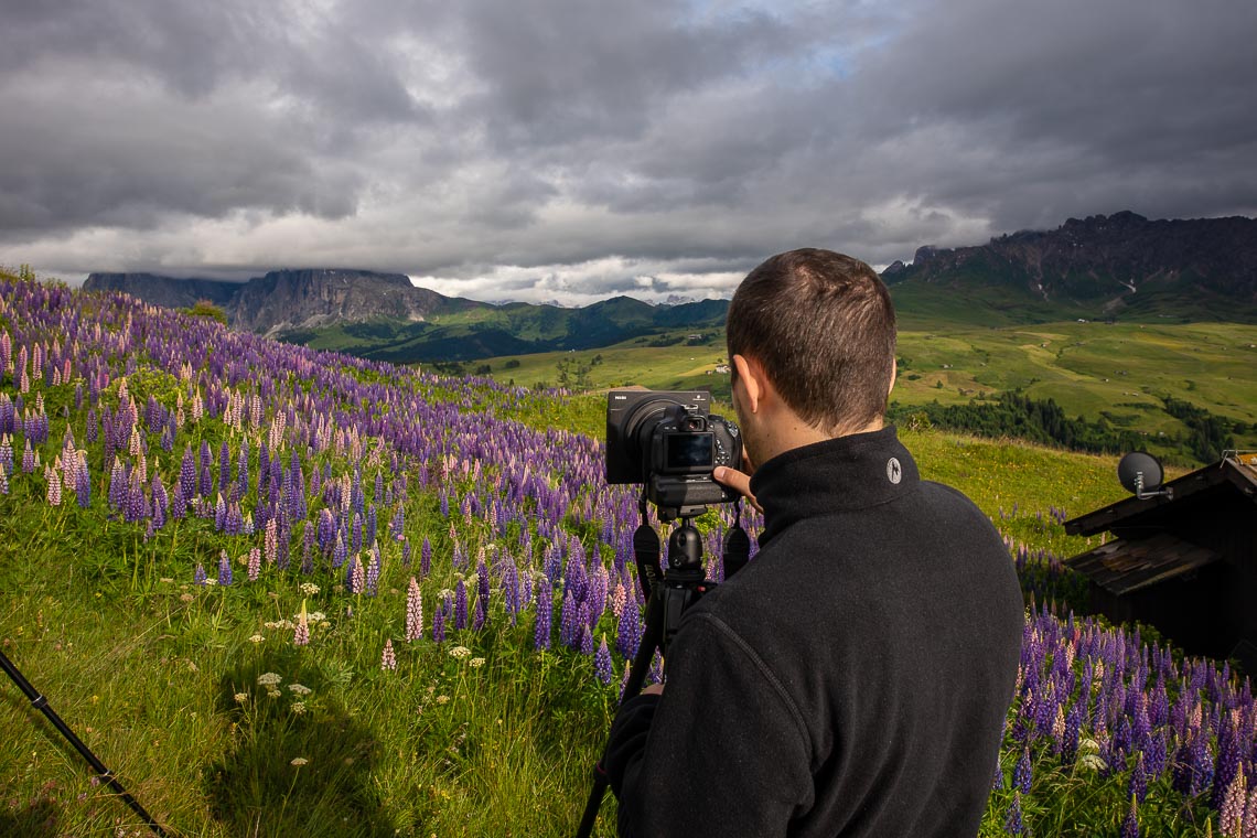 Dolomiti Nikon School Workshop Paesaggio Alpe Siusi Seceda Dolomiti 00006