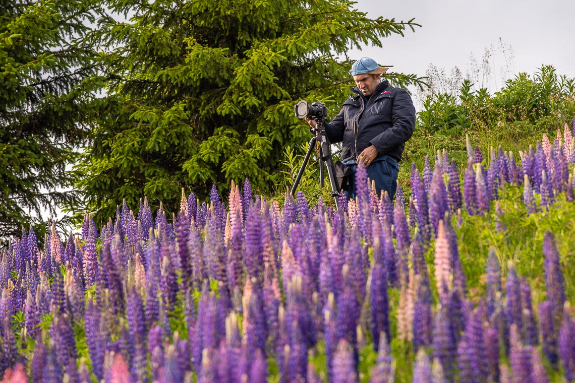 Dolomiti Nikon School Workshop Paesaggio Alpe Siusi Seceda Dolomiti 00009