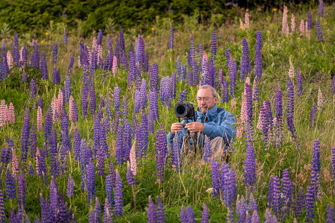 Dolomiti Nikon School Workshop Paesaggio Alpe Siusi Seceda Dolomiti 00013