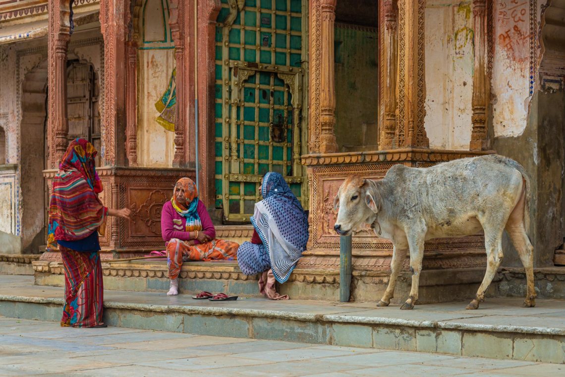 India Nikon School Viaggio Fotografico Workshop Viaggi Fotografici 00026