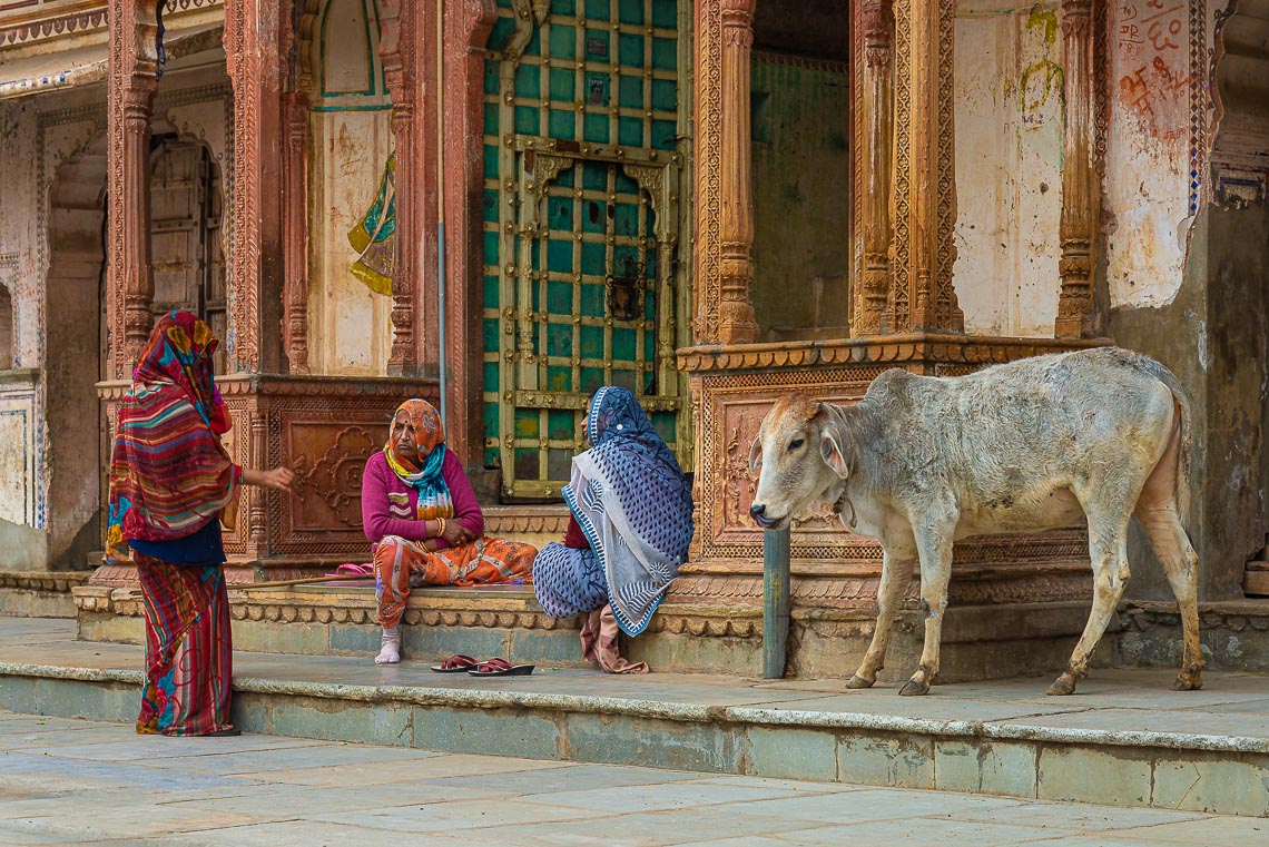 India Nikon School Viaggio Fotografico Workshop Viaggi Fotografici 00026