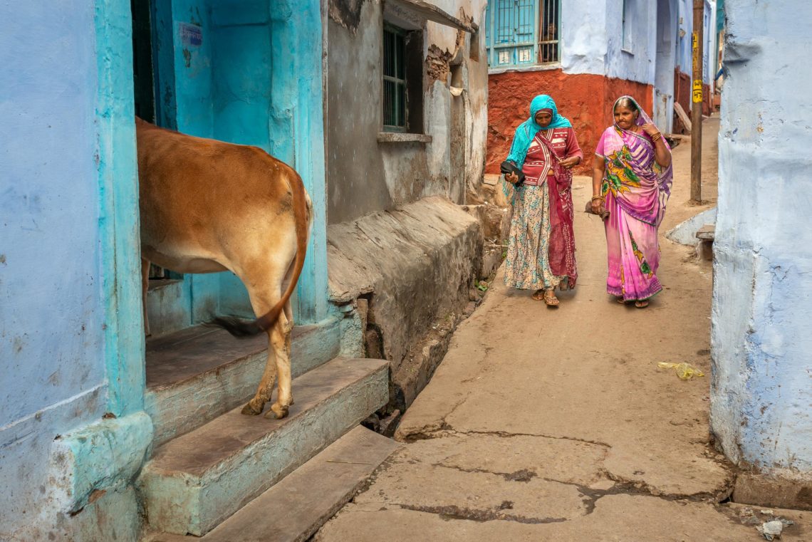 India Nikon School Viaggio Fotografico Workshop Viaggi Fotografici 00028