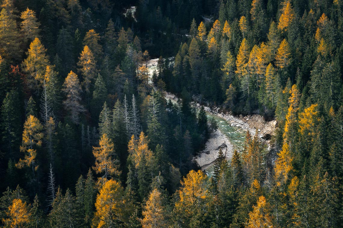 Dolomiti Foliage Autunno Nikon School Workshop Paesaggio Notturna Via Lattea Startrail 00023