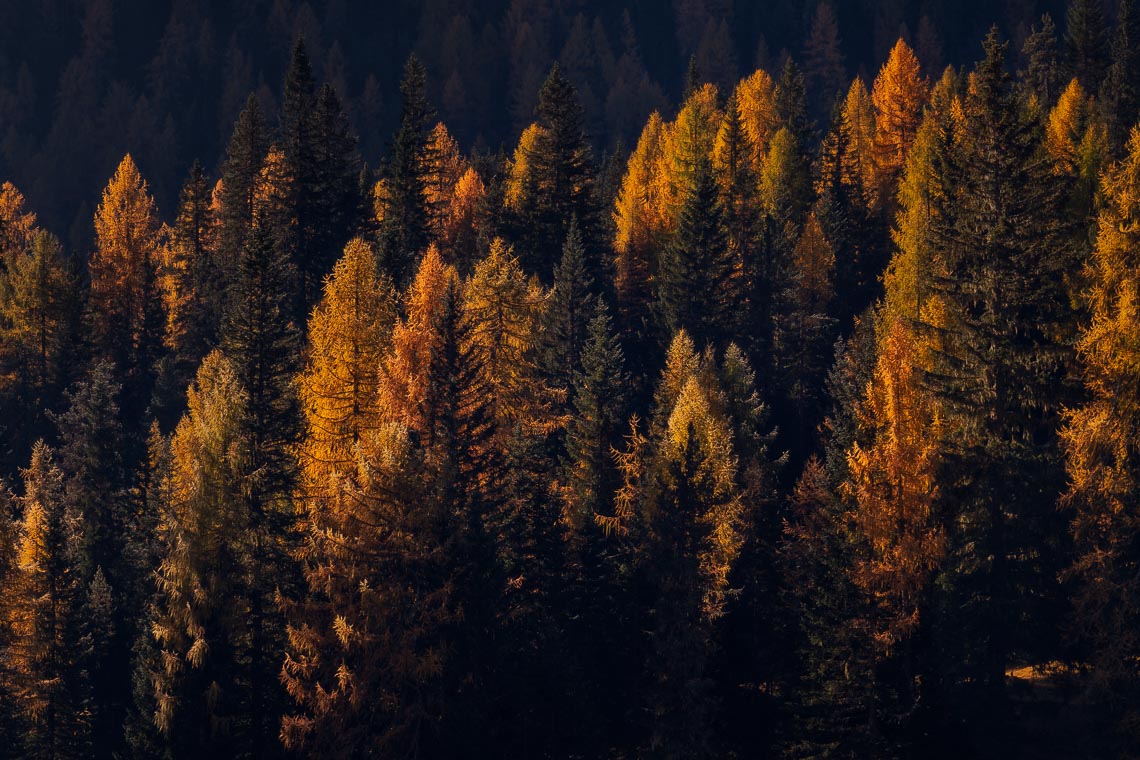 Dolomiti Foliage Autunno Nikon School Workshop Paesaggio Notturna Via Lattea Startrail 00025