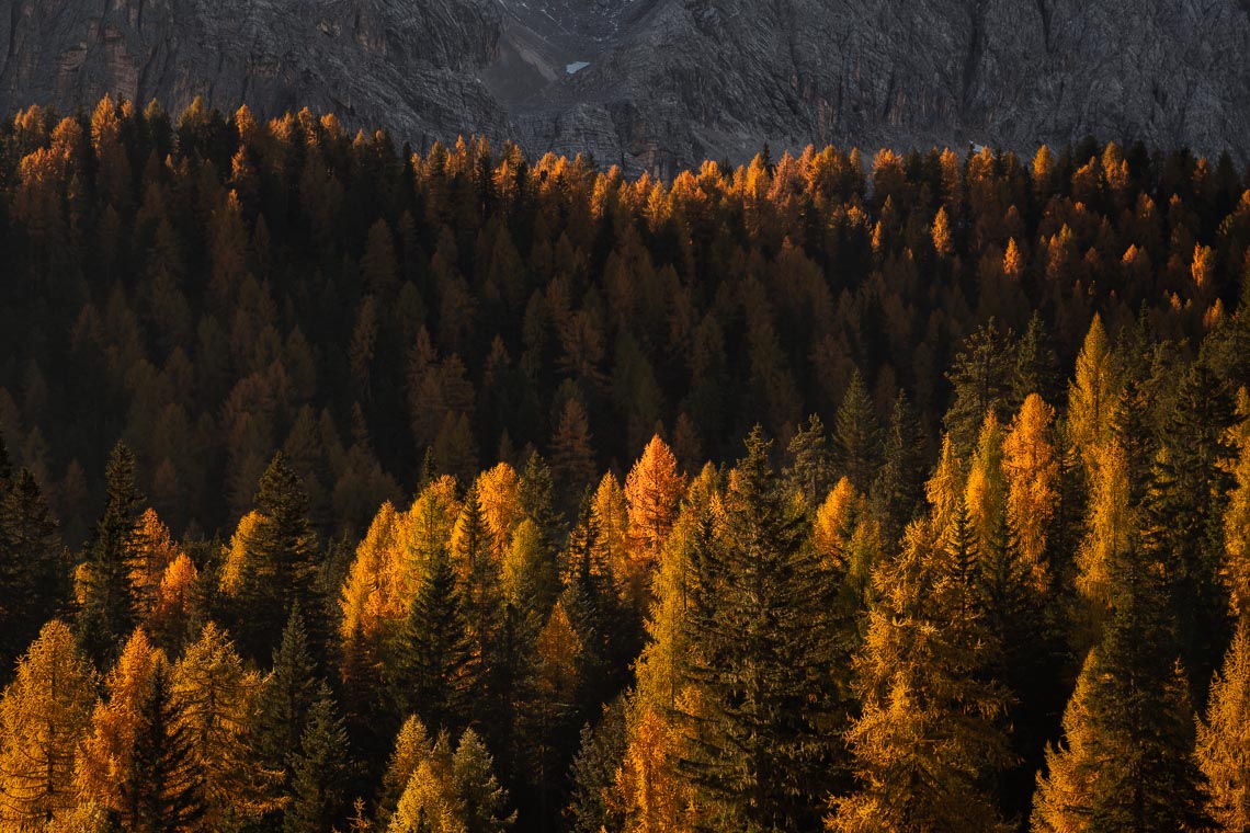 Dolomiti Foliage Autunno Nikon School Workshop Paesaggio Notturna Via Lattea Startrail 00026
