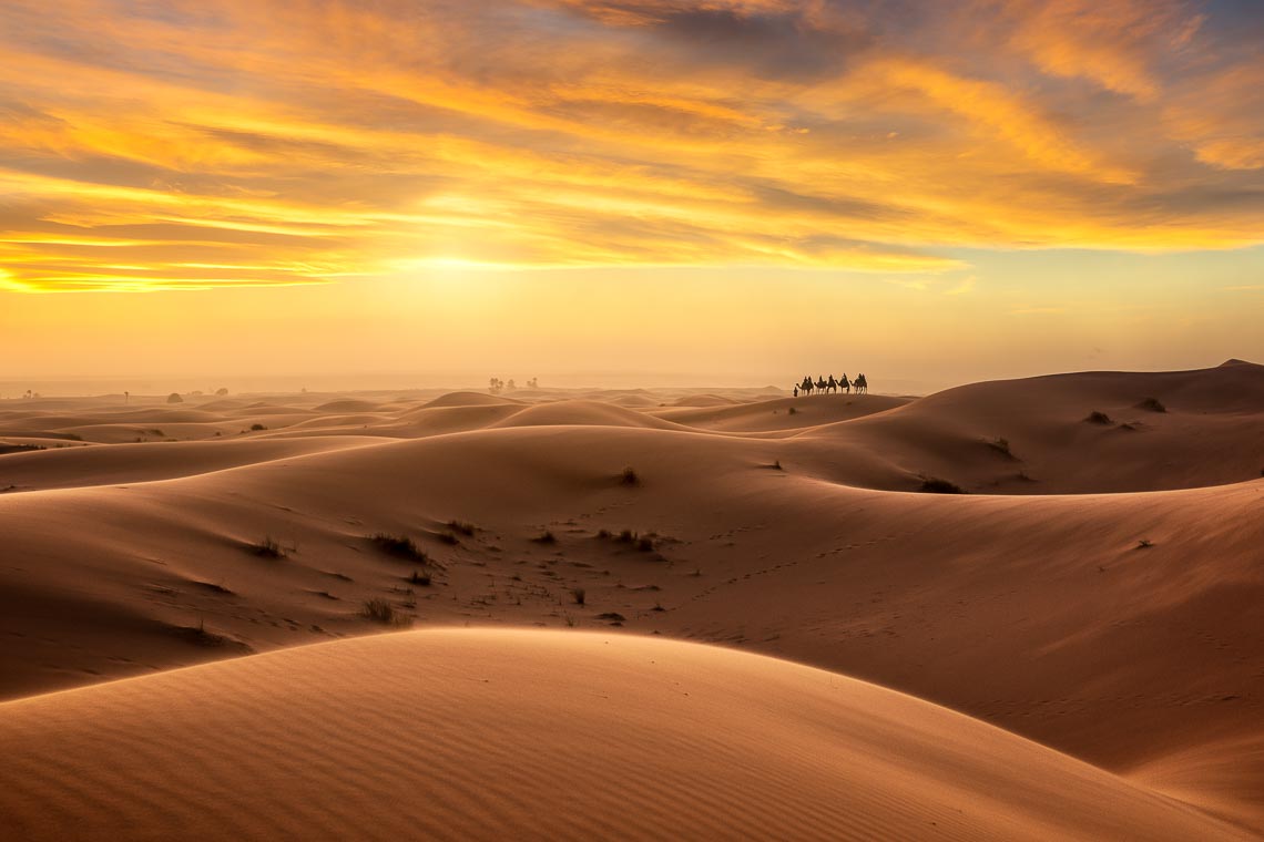 Marocco Viaggio Fotografico Nikon School Workshop Viaggi Fotografici Deserto Sahara Marrakech 00030