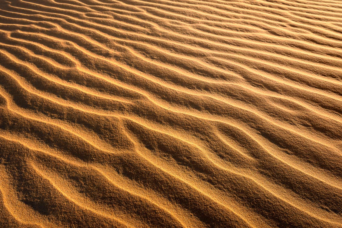 Marocco Viaggio Fotografico Nikon School Workshop Viaggi Fotografici Deserto Sahara Marrakech 00036