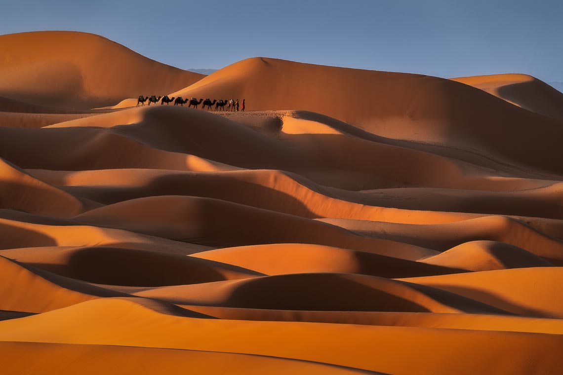 Marocco Viaggio Fotografico Nikon School Workshop Viaggi Fotografici Deserto Sahara Marrakech 00038