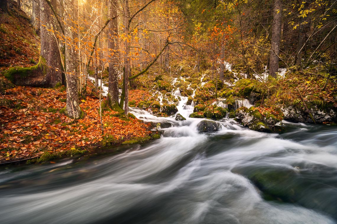 Slovenia Viaggio Fotografico Workshop Nikon School Paesaggio Viaggi Fotografici Bled Foliage Autunno 00018