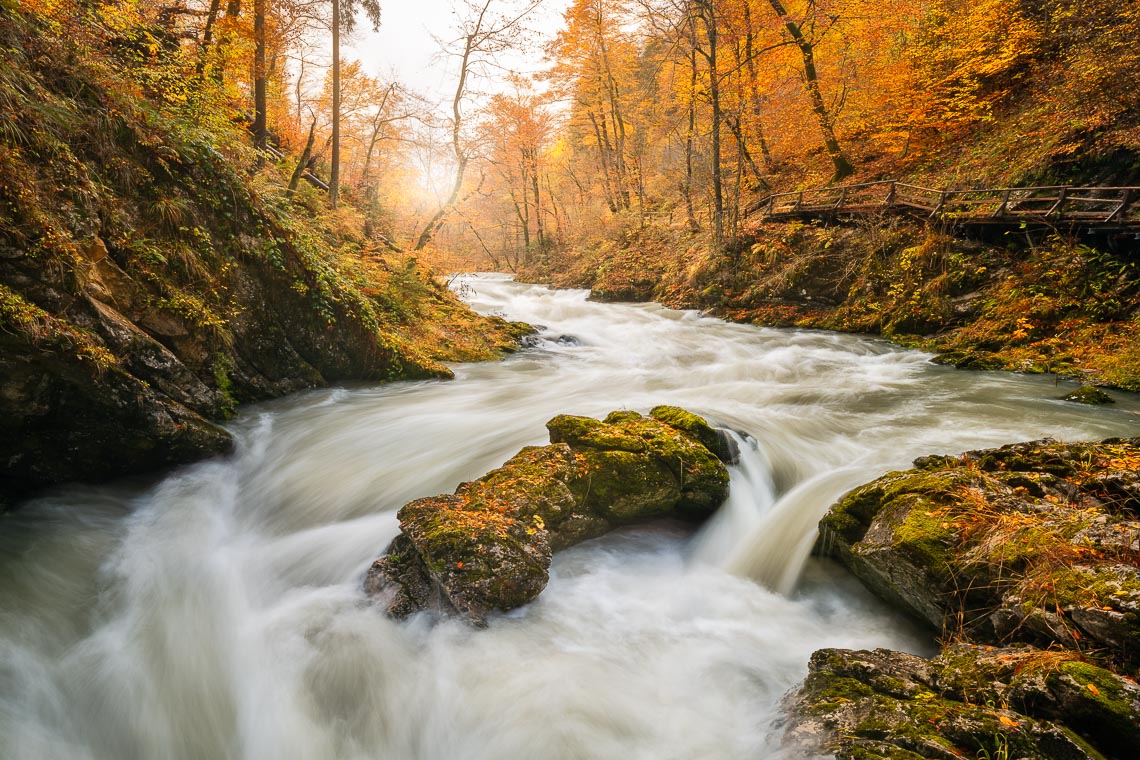 Slovenia Viaggio Fotografico Workshop Nikon School Paesaggio Viaggi Fotografici Bled Foliage Autunno 00024