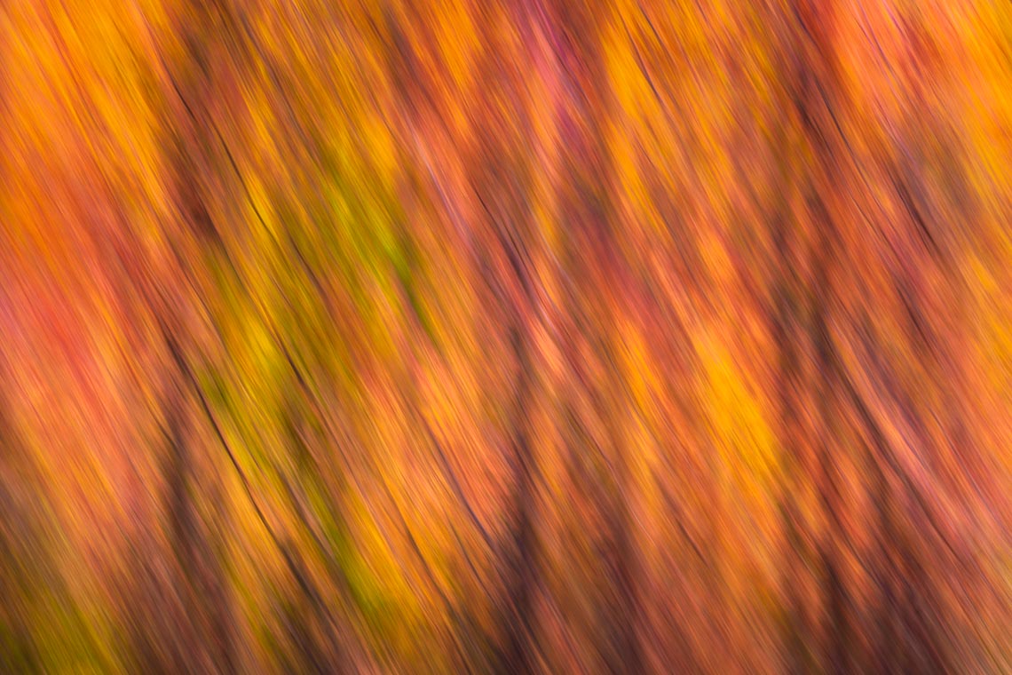 Workshop Foliage Autunno Nikon School Appennino Cascate Dardagna 00005