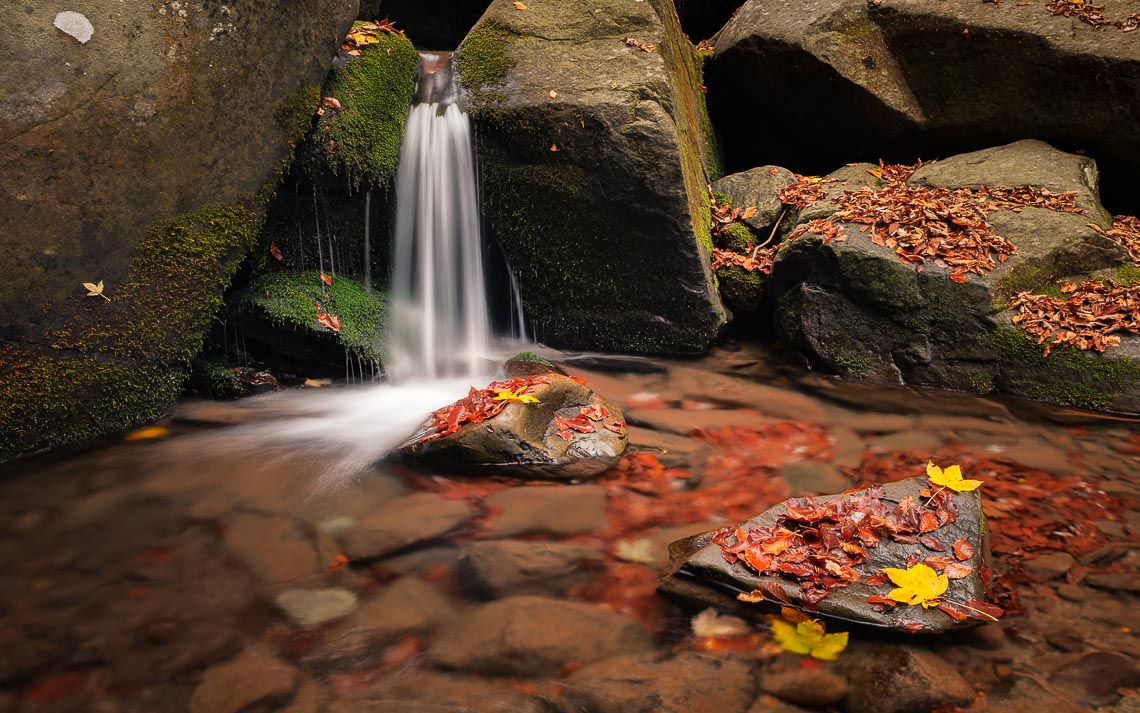 Workshop Foliage Autunno Nikon School Appennino Cascate Dardagna 00017