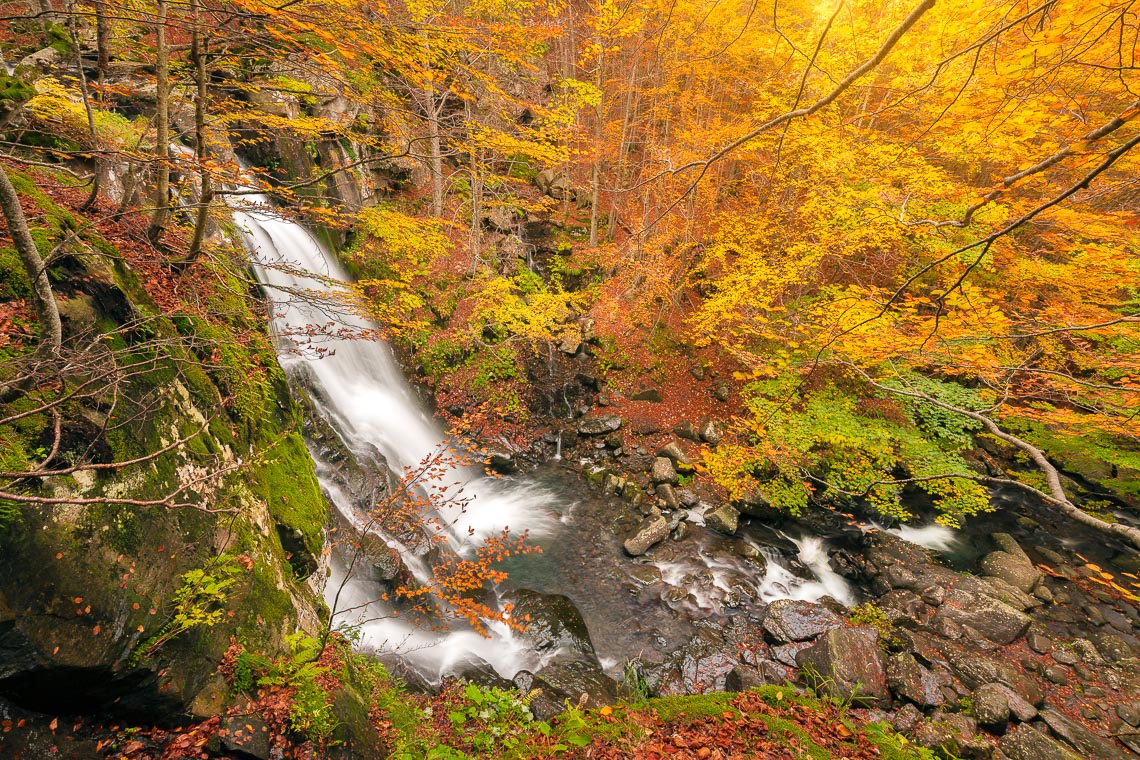 Workshop Foliage Autunno Nikon School Appennino Cascate Dardagna 00019