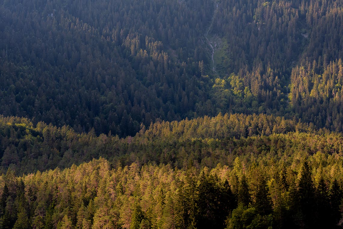 Dolomiti Foliage Autunno Nikon School Workshop Paesaggio Notturna Via Lattea Startrail 00022