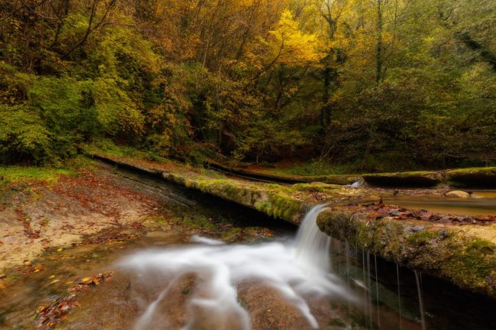 Foliage Autunno Nikon School Workshop Paesaggio Appennino 00002