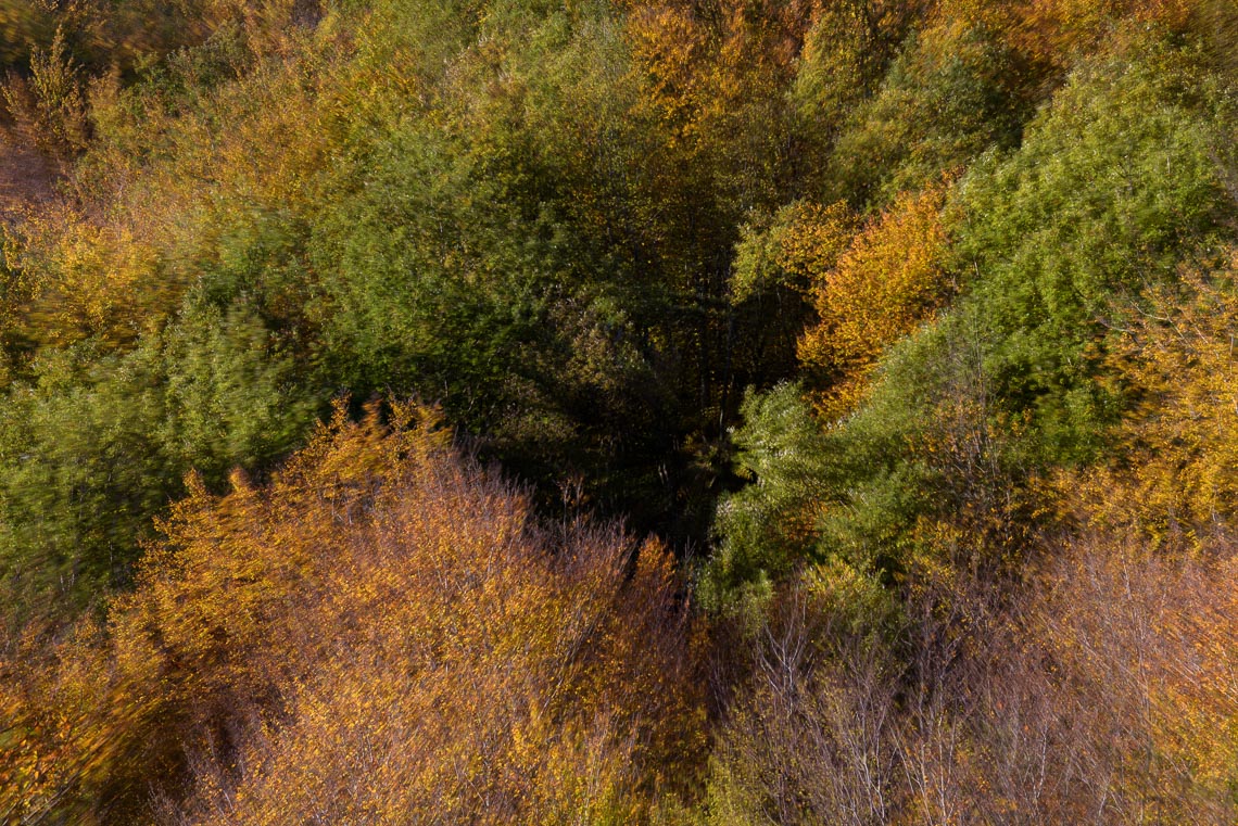 Foliage Autunno Nikon School Workshop Paesaggio Appennino 00004